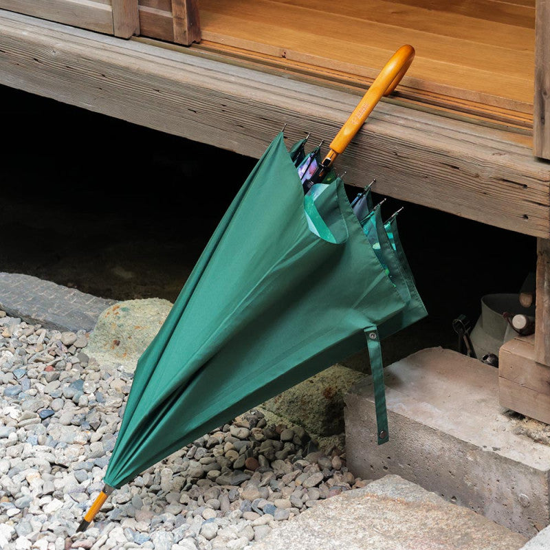 PARAPLUIE RENCONTRE MYSTÉRIEUSE - MON VOISIN TOTORO