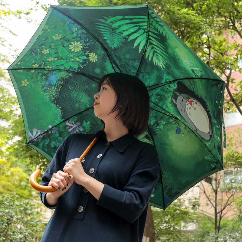 PARAPLUIE RENCONTRE MYSTÉRIEUSE - MON VOISIN TOTORO