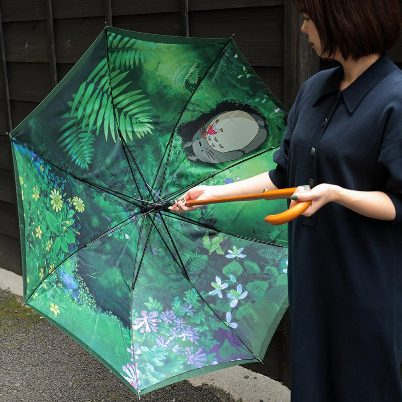 PARAPLUIE RENCONTRE MYSTÉRIEUSE - MON VOISIN TOTORO