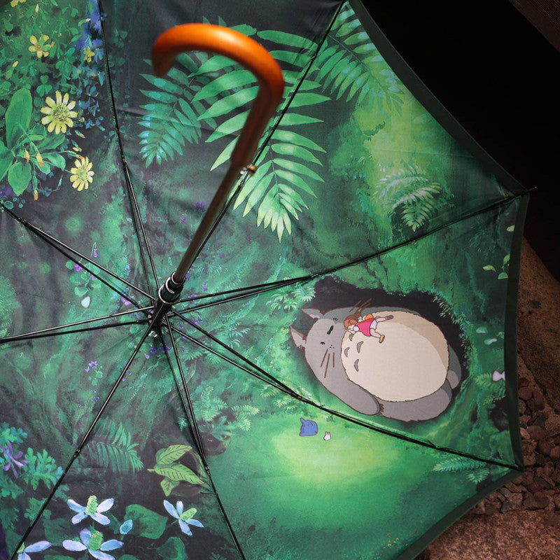 PARAPLUIE RENCONTRE MYSTÉRIEUSE - MON VOISIN TOTORO