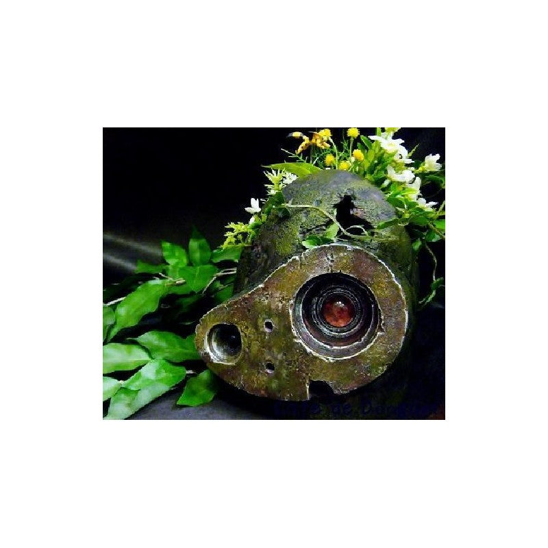 PLANTER CASQUE ROBOT - LE CHÂTEAU DANS LE CIEL