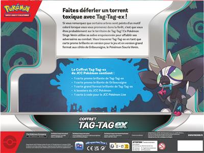 Pokémon : Coffret Tag-Tag ex avril 2024