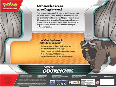 Pokémon : Coffret ex (4 boosters) - Dogrino-ex Q1