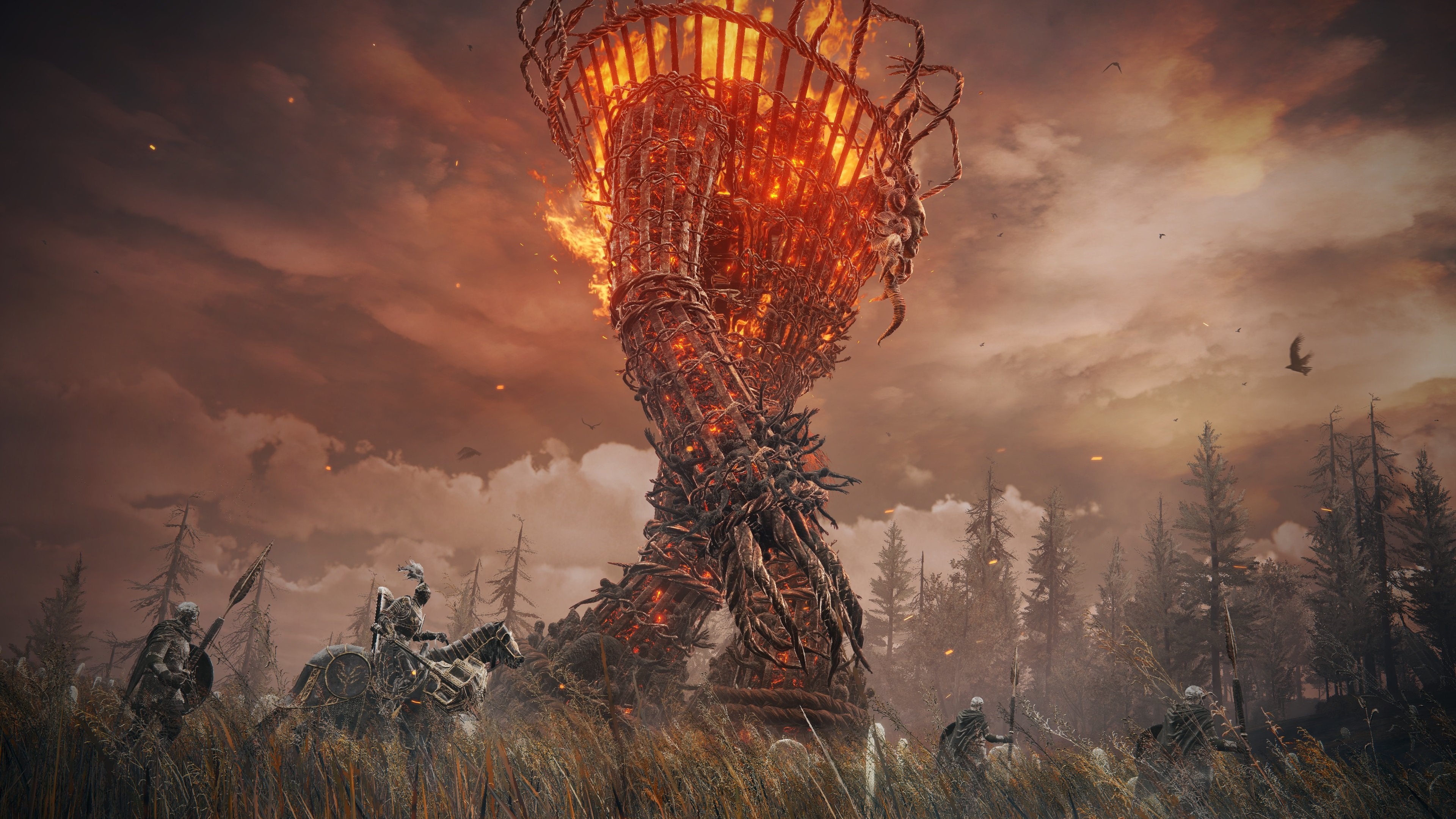 ELDEN RING - Shadow of the Erdtree Edition - flash vidéo