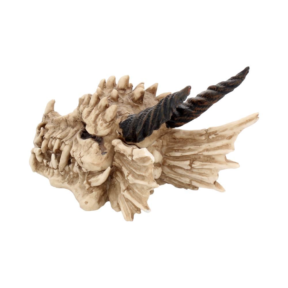 Dragon Skull Box 20cm - flash vidéo