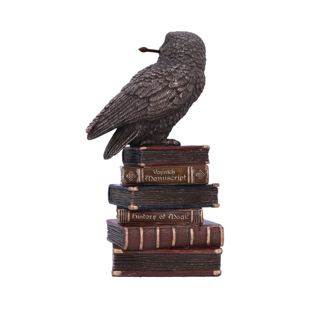 Figurine de collection hibou et livres de sortilèges 14cm - flash vidéo