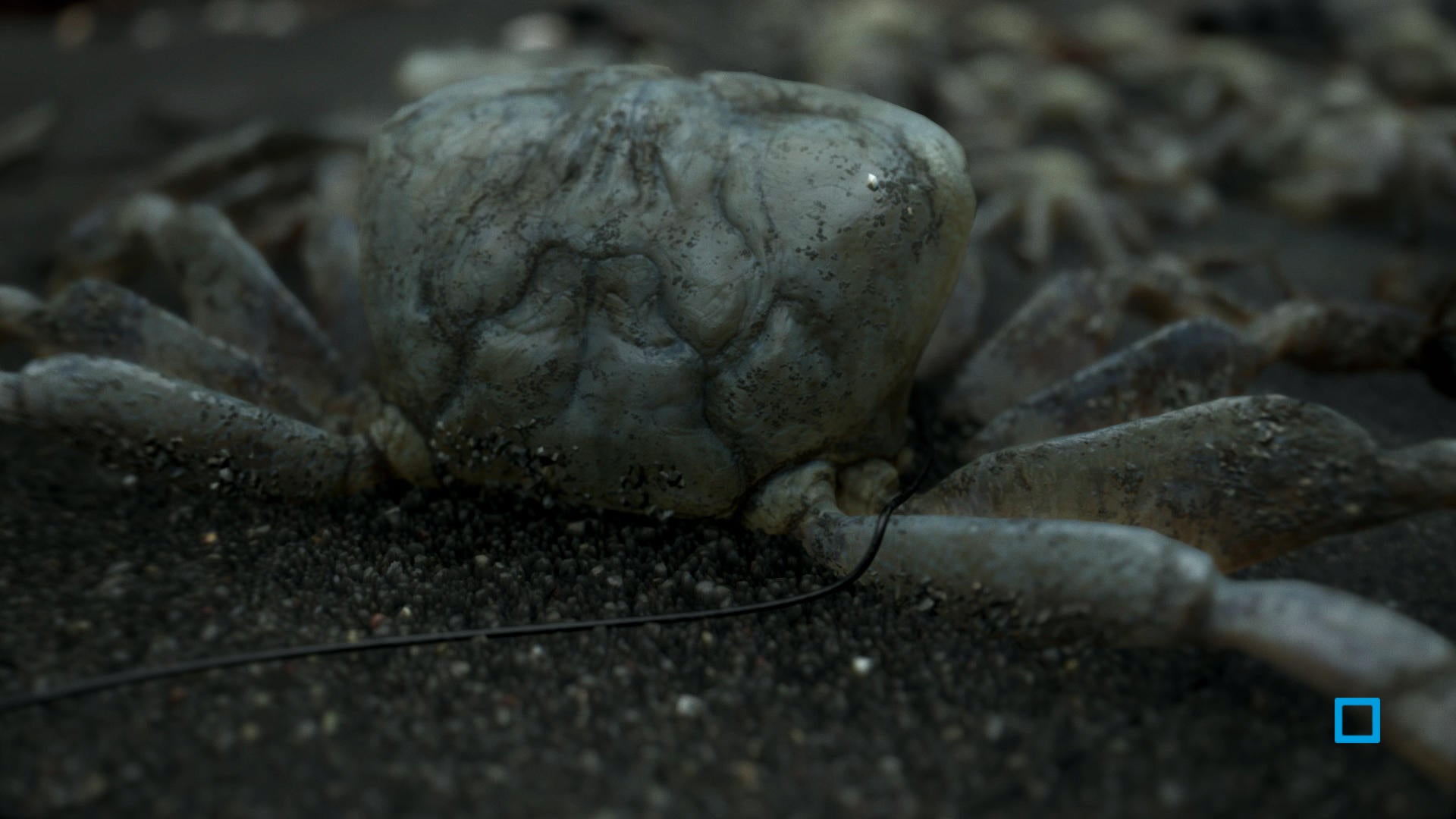 Death Stranding - flash vidéo