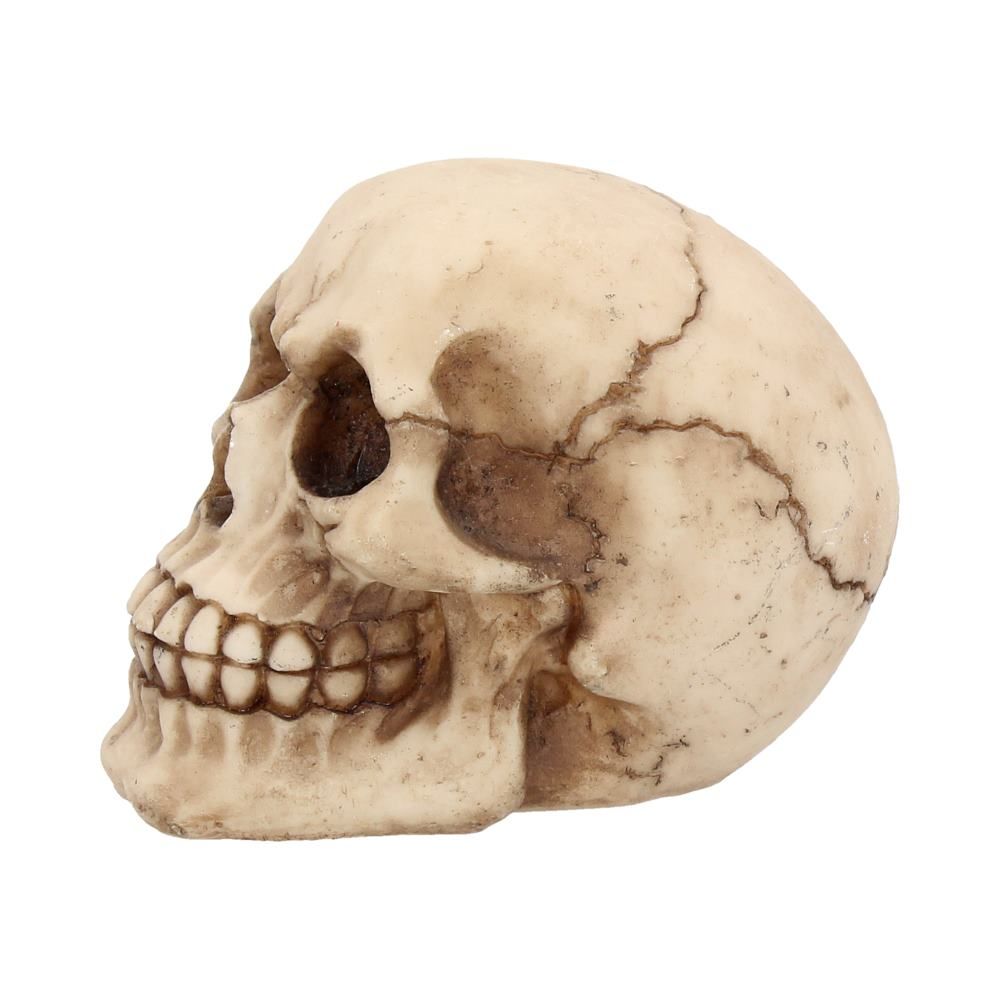 Joker Skull 12cm - flash vidéo