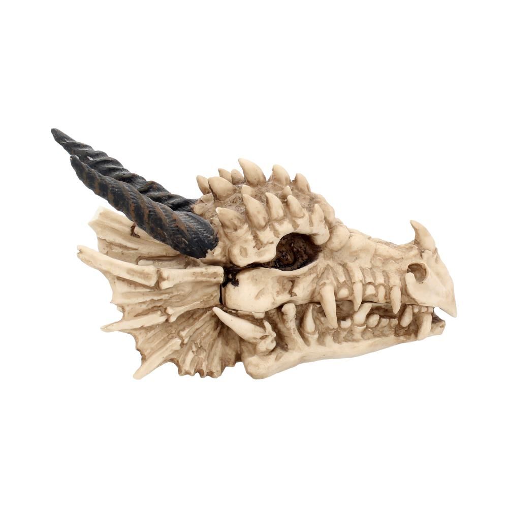 Dragon Skull Box 20cm - flash vidéo