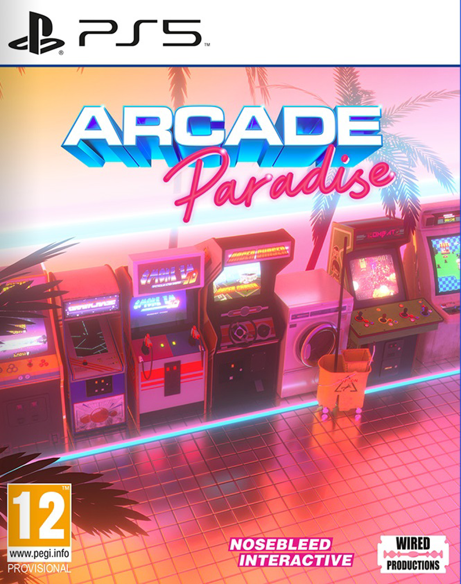 Arcade Paradise - flash vidéo