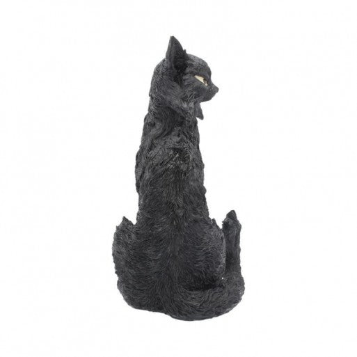 Salem Cat Figure 32.5cm - flash vidéo