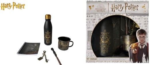 Harry Potter - Coffret cadeau (Bouteille + Mug + Carnet + Stylo-bille + Porte-clef) - flash vidéo
