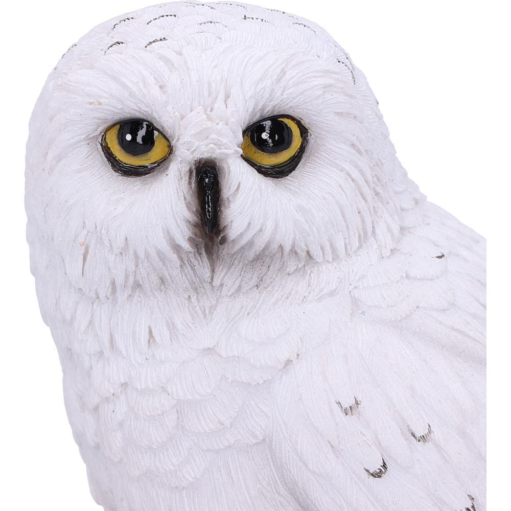 Hibou Familier du Sorcier Figurine 10cm - flash vidéo