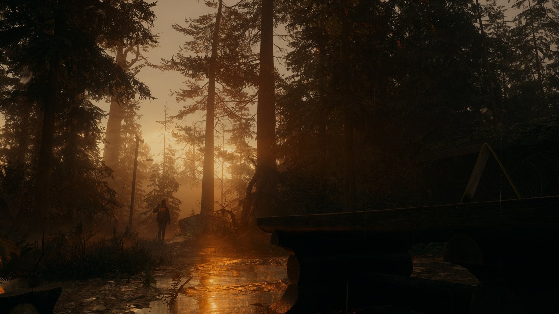 Alan Wake 2 - Deluxe Edition - flash vidéo