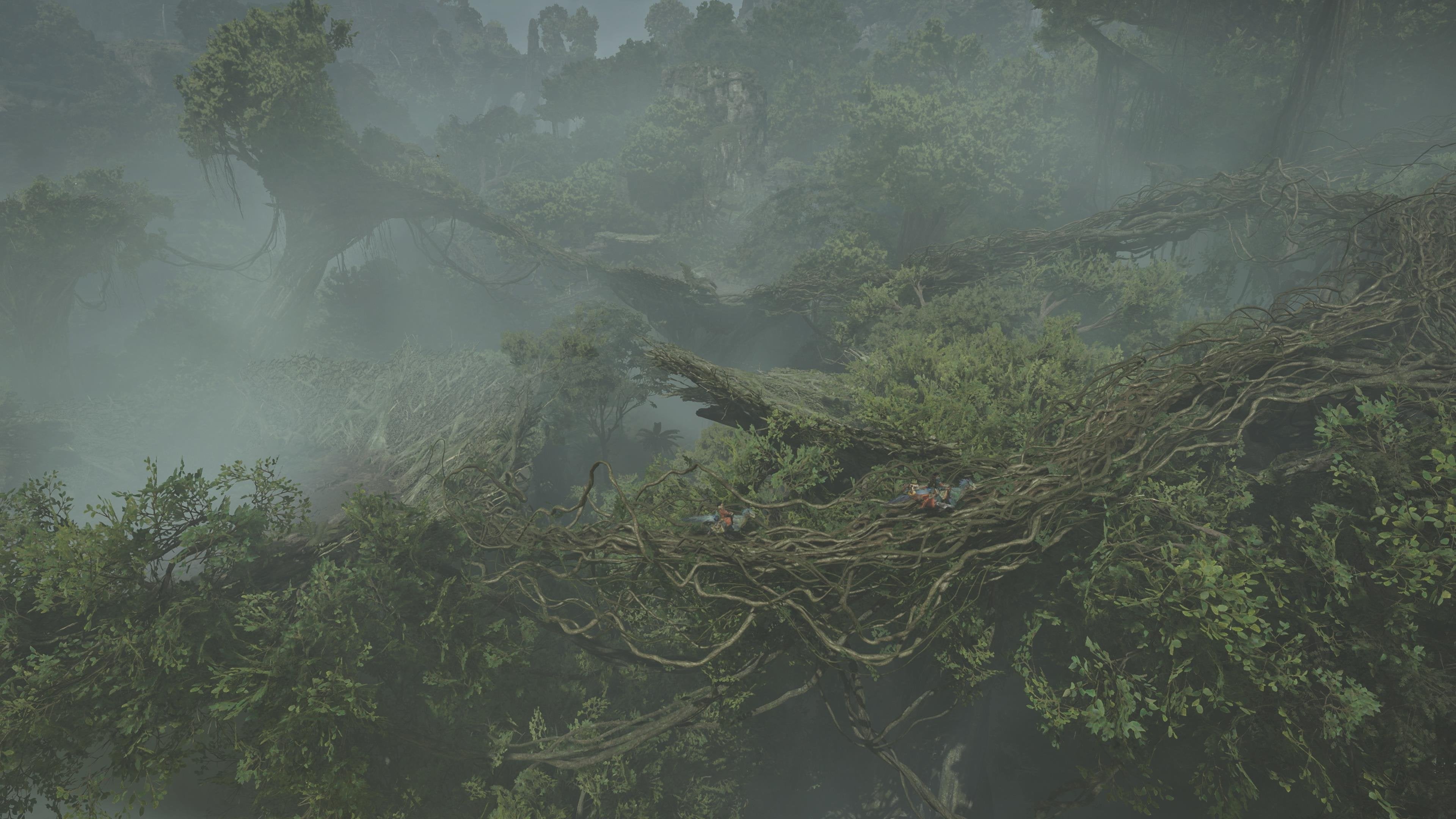 Monster Hunter Wilds - flash vidéo