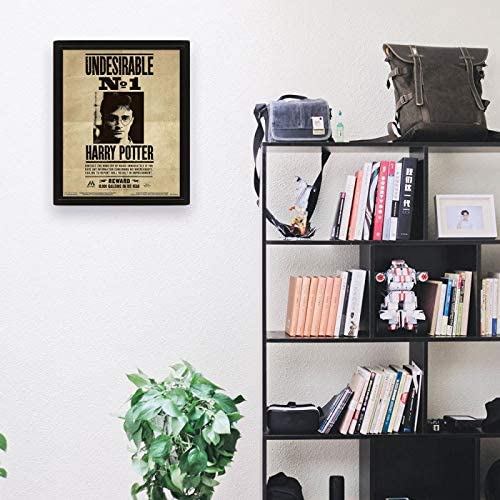 Harry Potter - Affiche lenticulaire 3D Harry Potter et Sirius Black - 28,7 x 23,5cm - flash vidéo