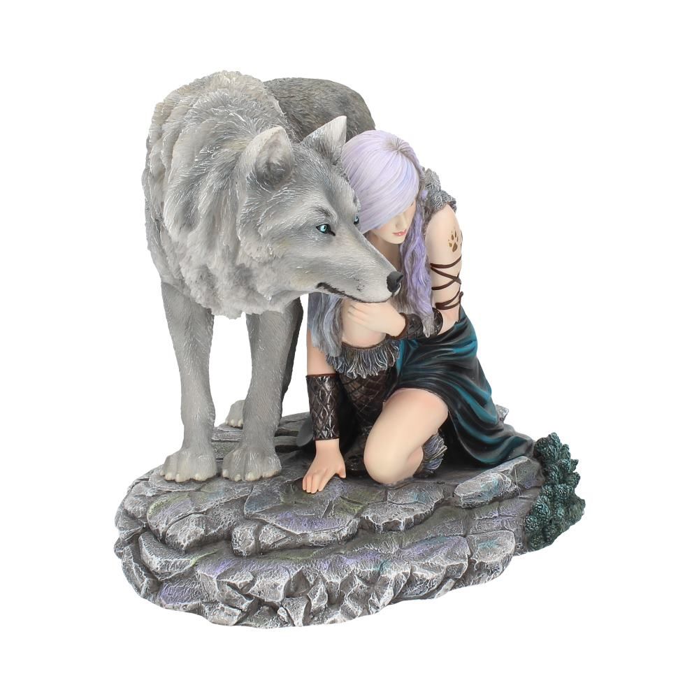 Protector (Limited Edition) Figure 25cm - flash vidéo