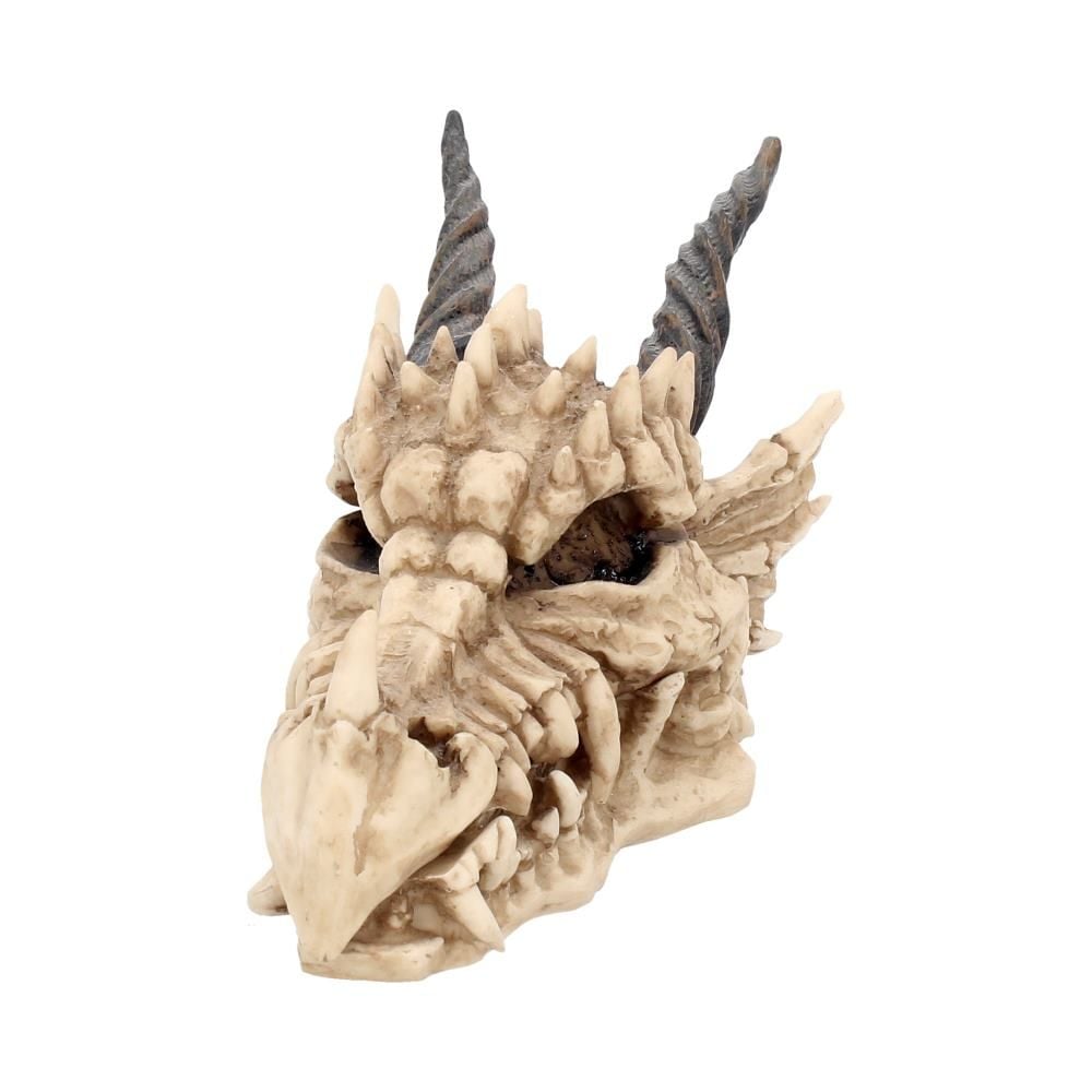 Dragon Skull Box 20cm - flash vidéo