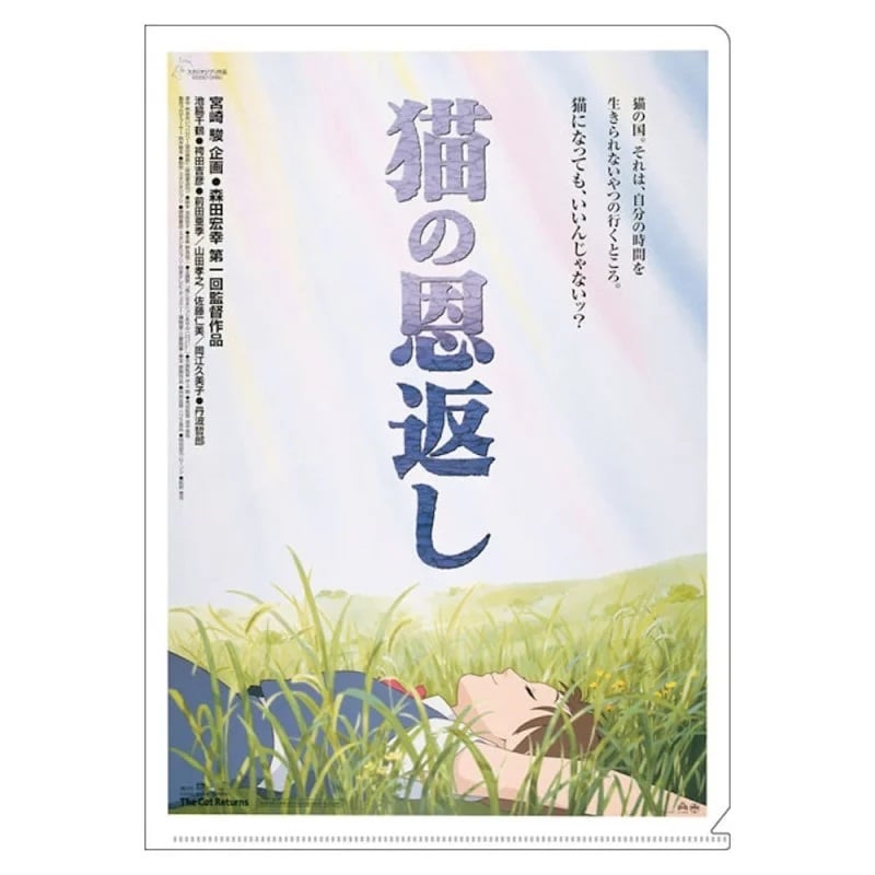 Le Royaume des chats - Chemise transparente format A4 Affiche du film - flash vidéo