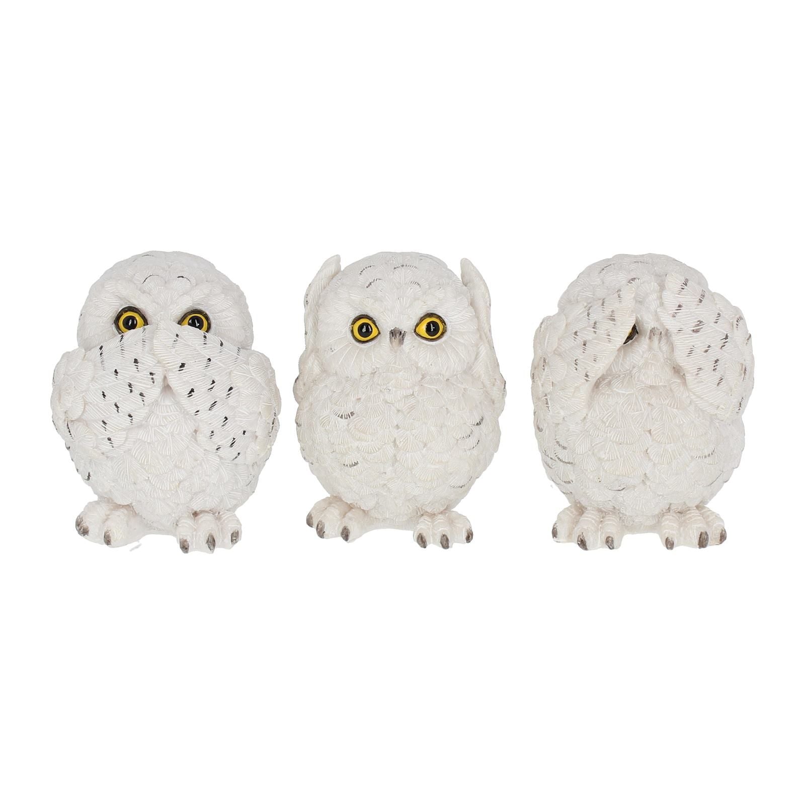 Three Wise Owls 8cm - flash vidéo