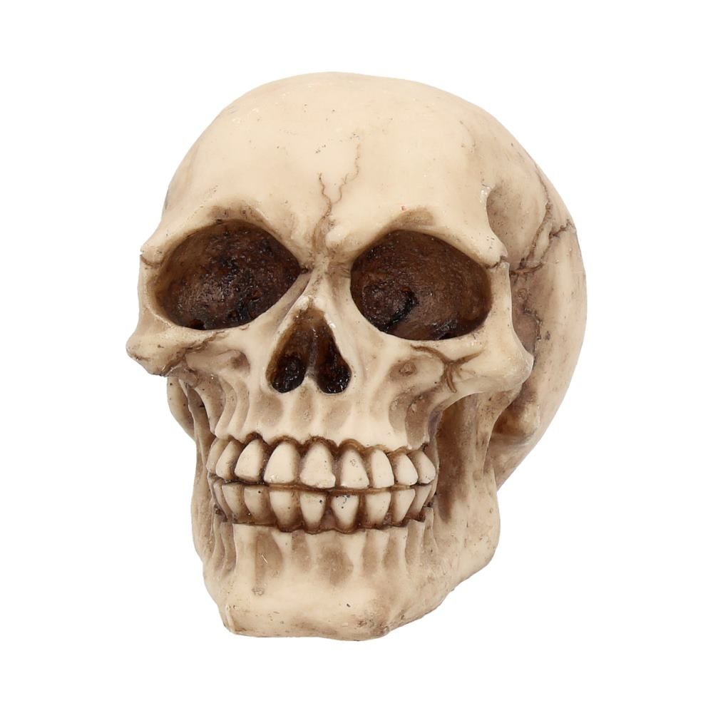 Joker Skull 12cm - flash vidéo