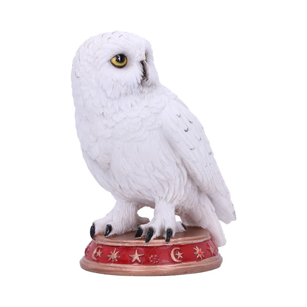 Hibou Familier du Sorcier Figurine 10cm - flash vidéo