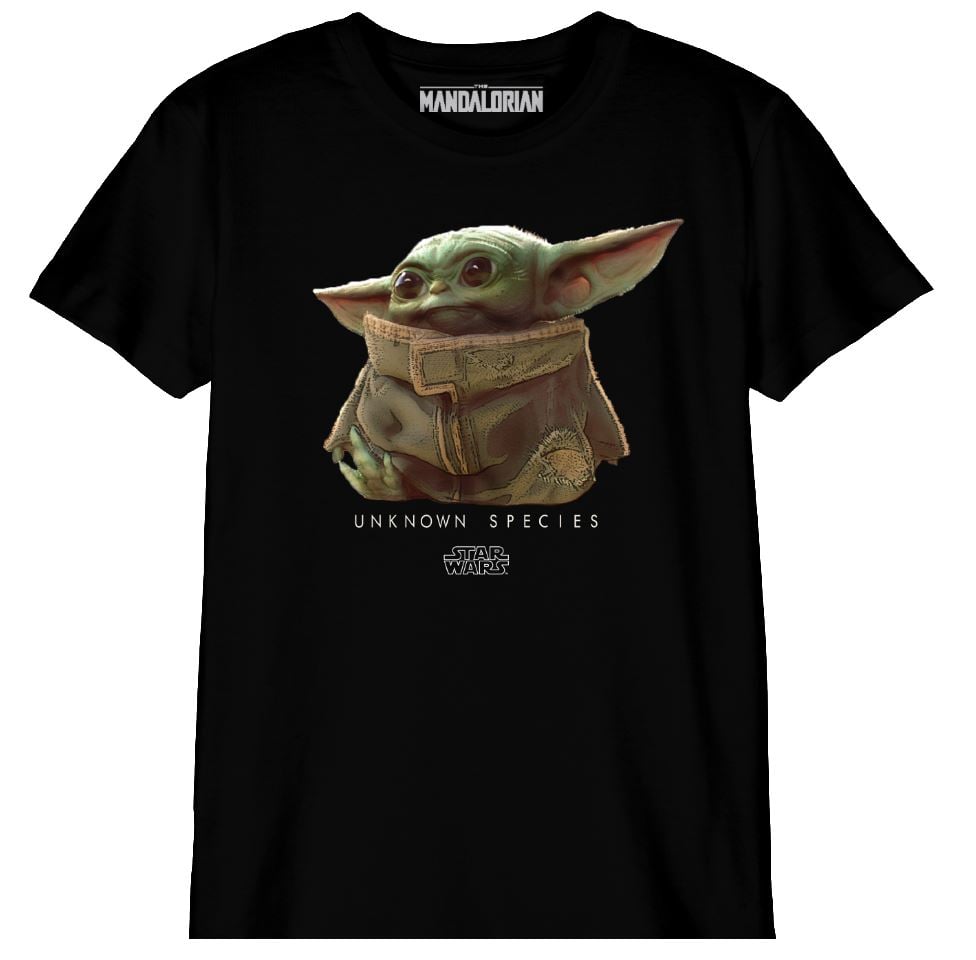 The Mandalorian - T-shirt Noir Hommes Logo The Child - 8 ans - flash vidéo