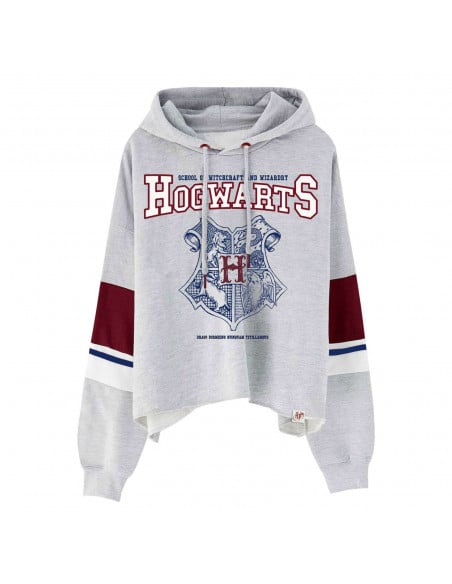 Harry Potter - Sweatshirt Ecusson Poudlard gris - L - flash vidéo