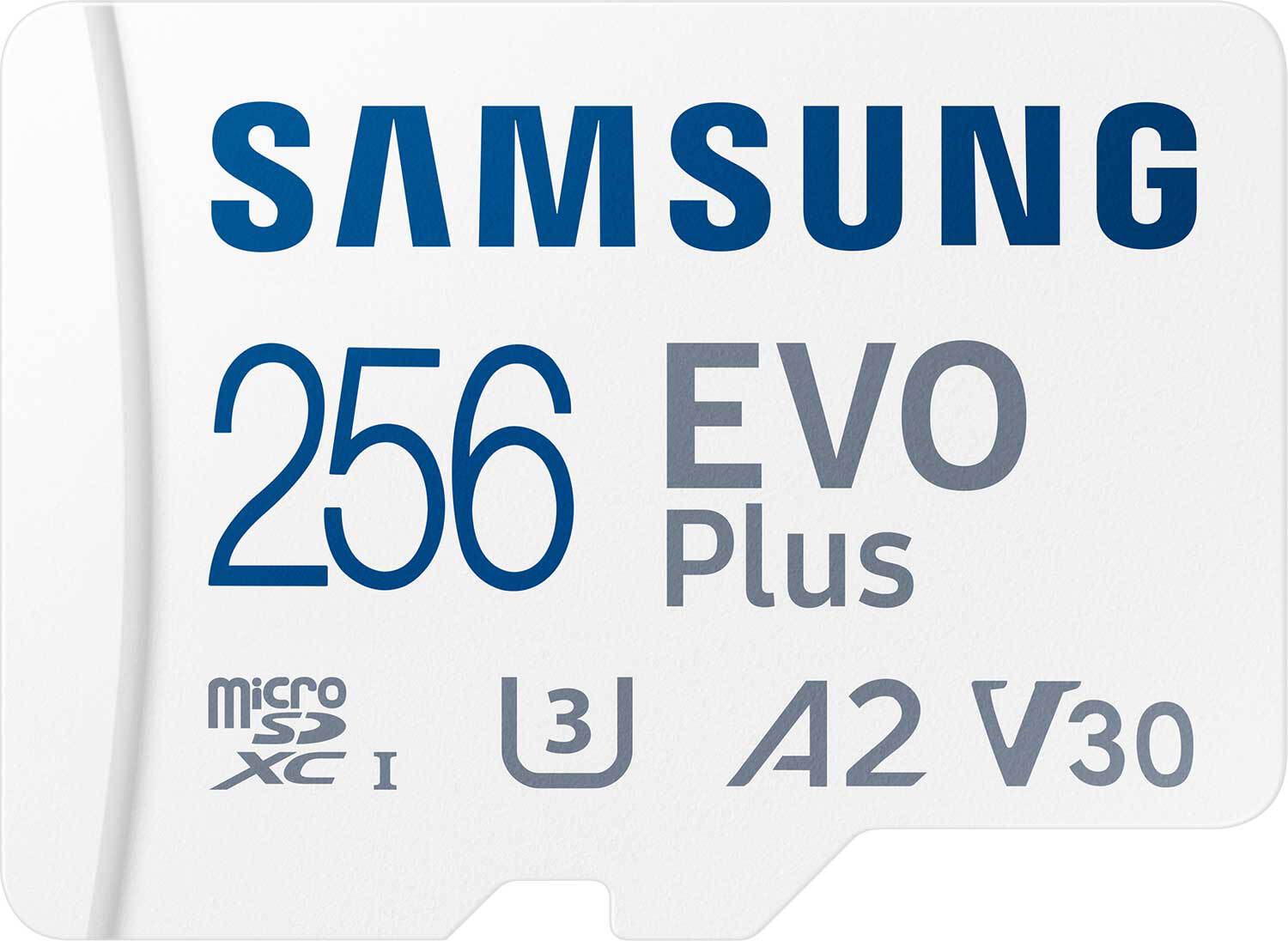 SAMSUNG MicroSD Evo+ 256GB - flash vidéo