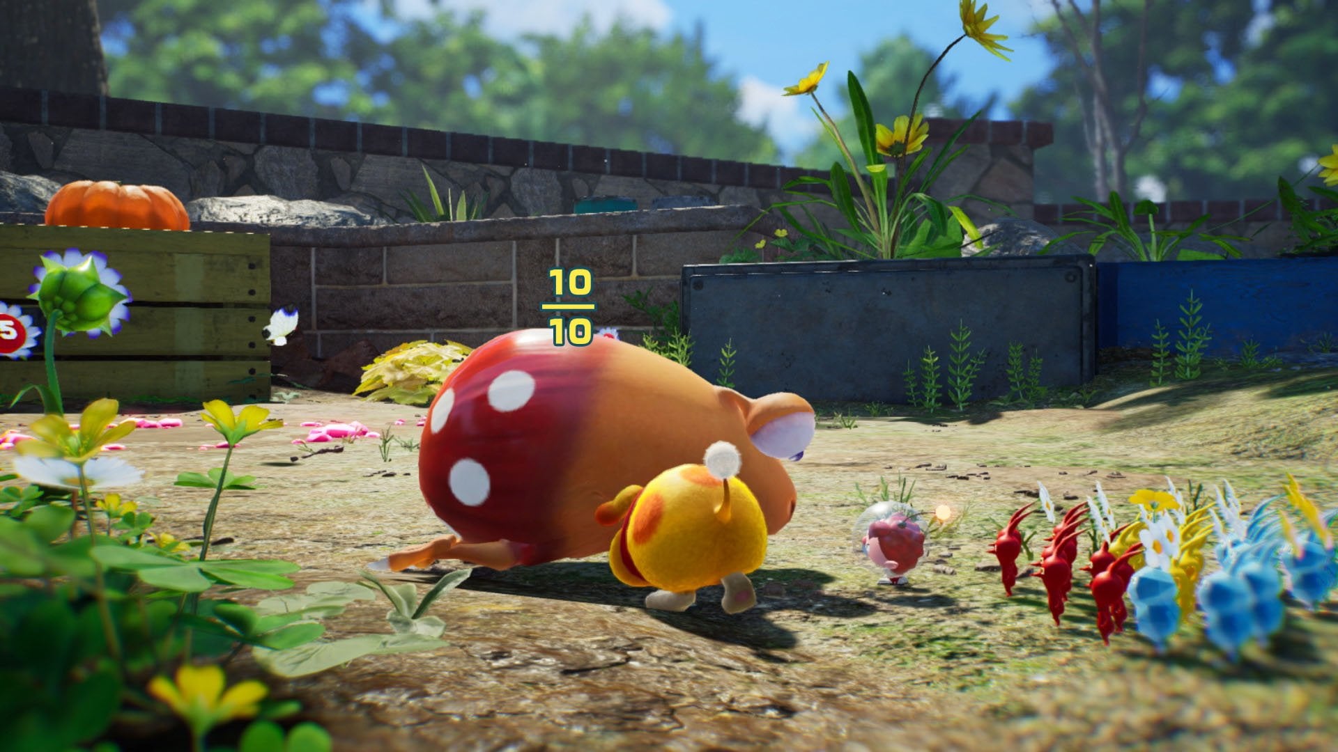 Pikmin 4 - flash vidéo