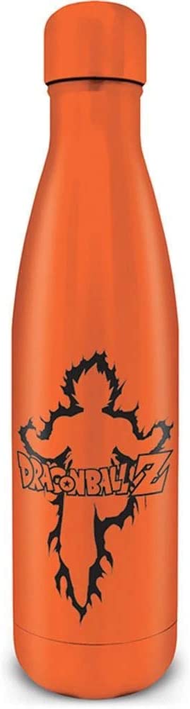 Dragon Ball Z - Goku Kanji Metal Bottle - flash vidéo
