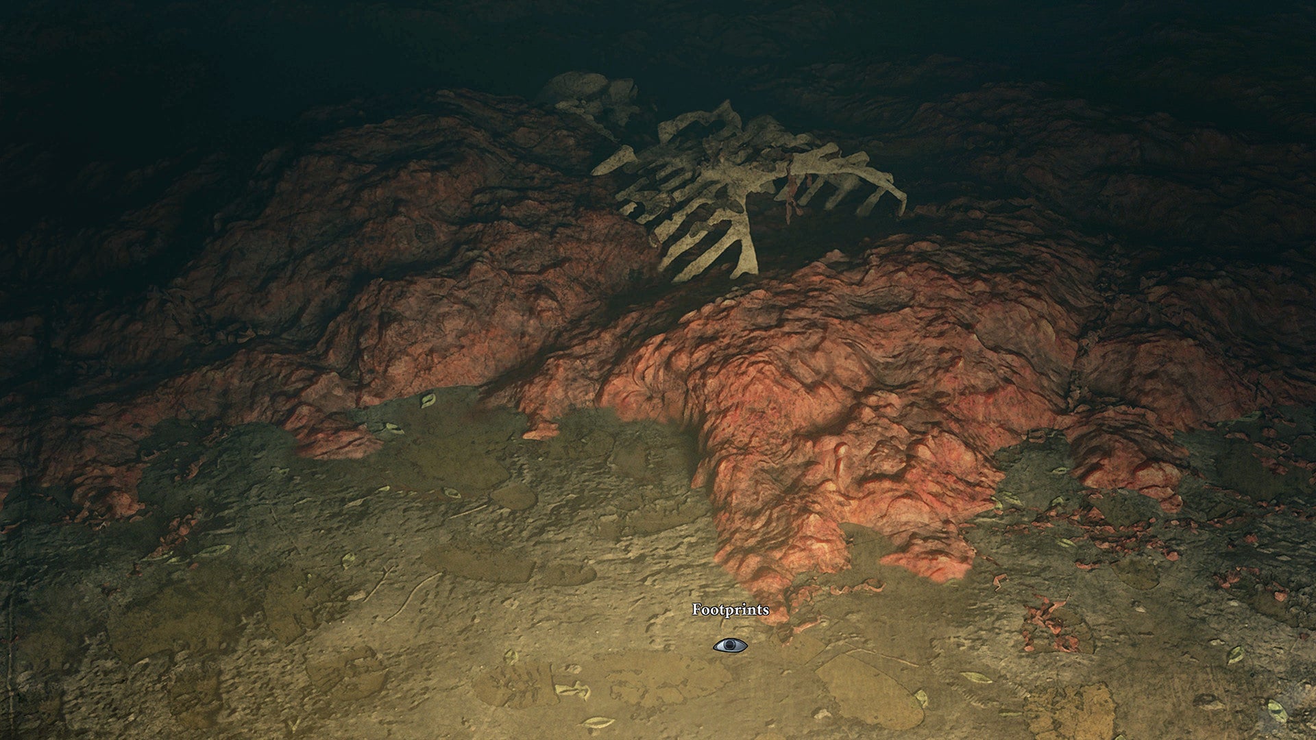 Saint Kotar - flash vidéo