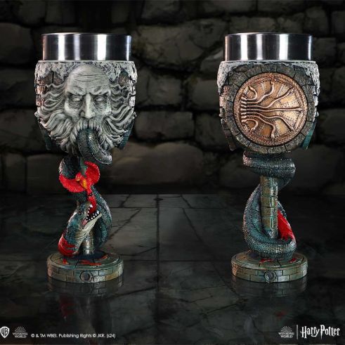 Nemesis Now - Harry Potter - Goblet la Chambre des Secrets 19.5cm - flash vidéo