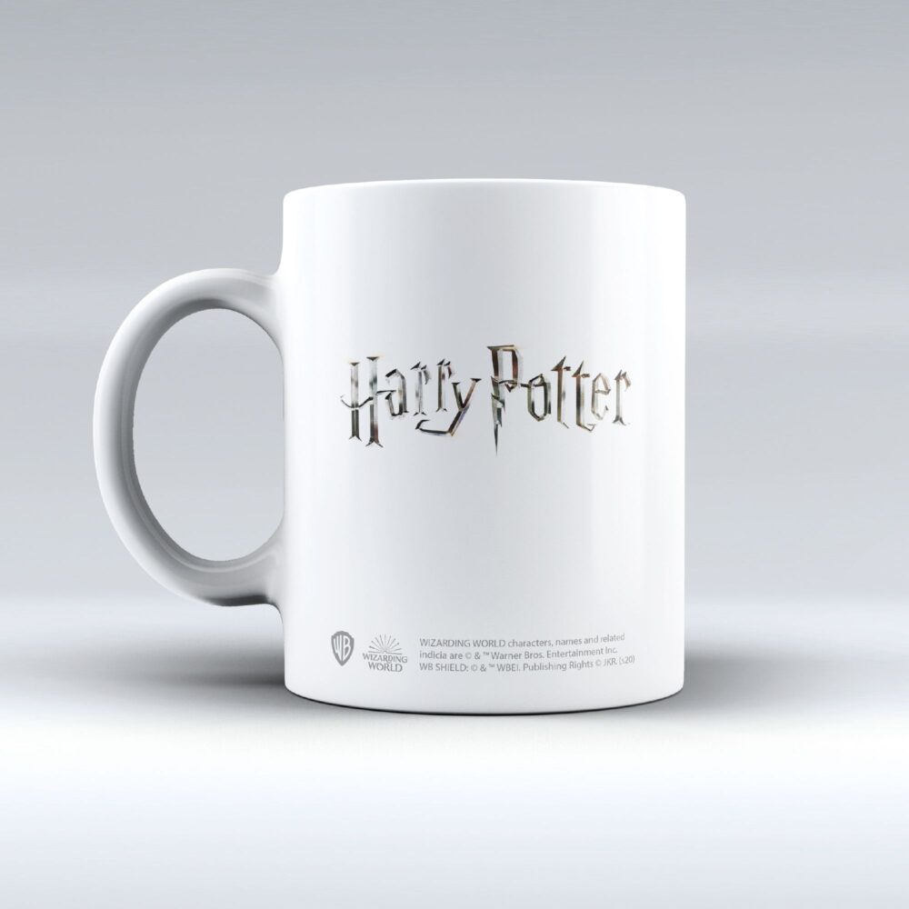 Wizarding World - Harry Potter - Mug - Sombral - flash vidéo