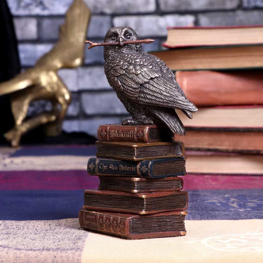 Figurine de collection hibou et livres de sortilèges 14cm - flash vidéo