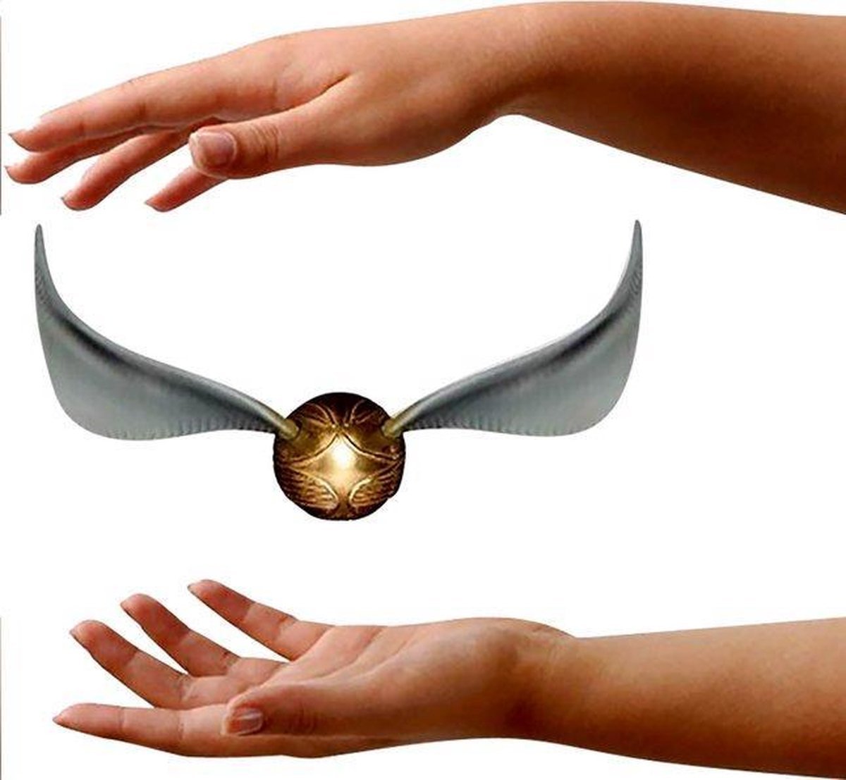 Harry Potter - Vif d'or mystère - flash vidéo