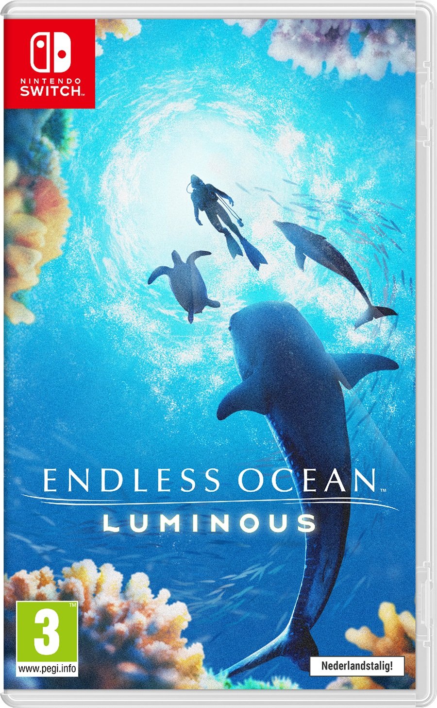 Endless Ocean Luminous - flash vidéo