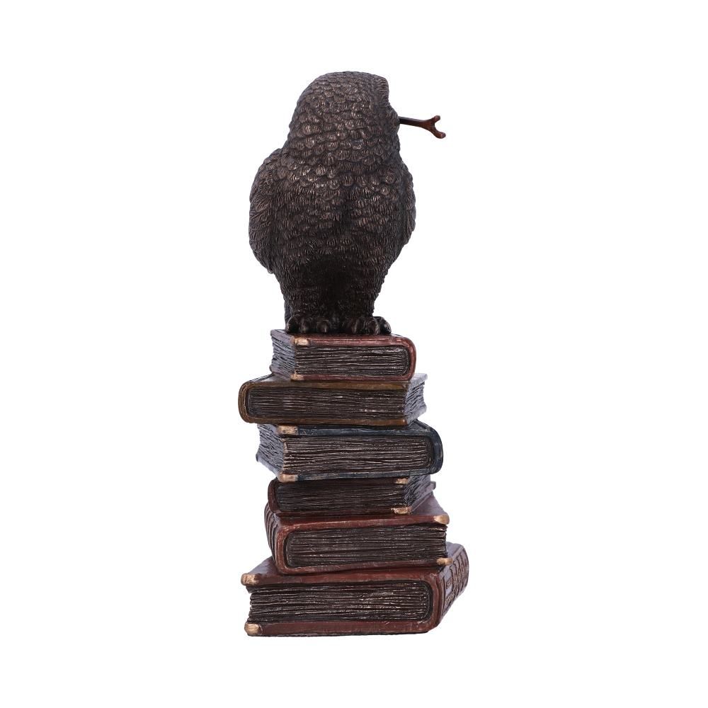 Figurine de collection hibou et livres de sortilèges 14cm - flash vidéo