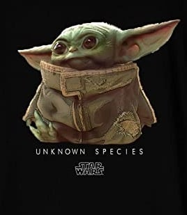 The Mandalorian - T-shirt Noir Hommes Logo The Child - 12 ans - flash vidéo