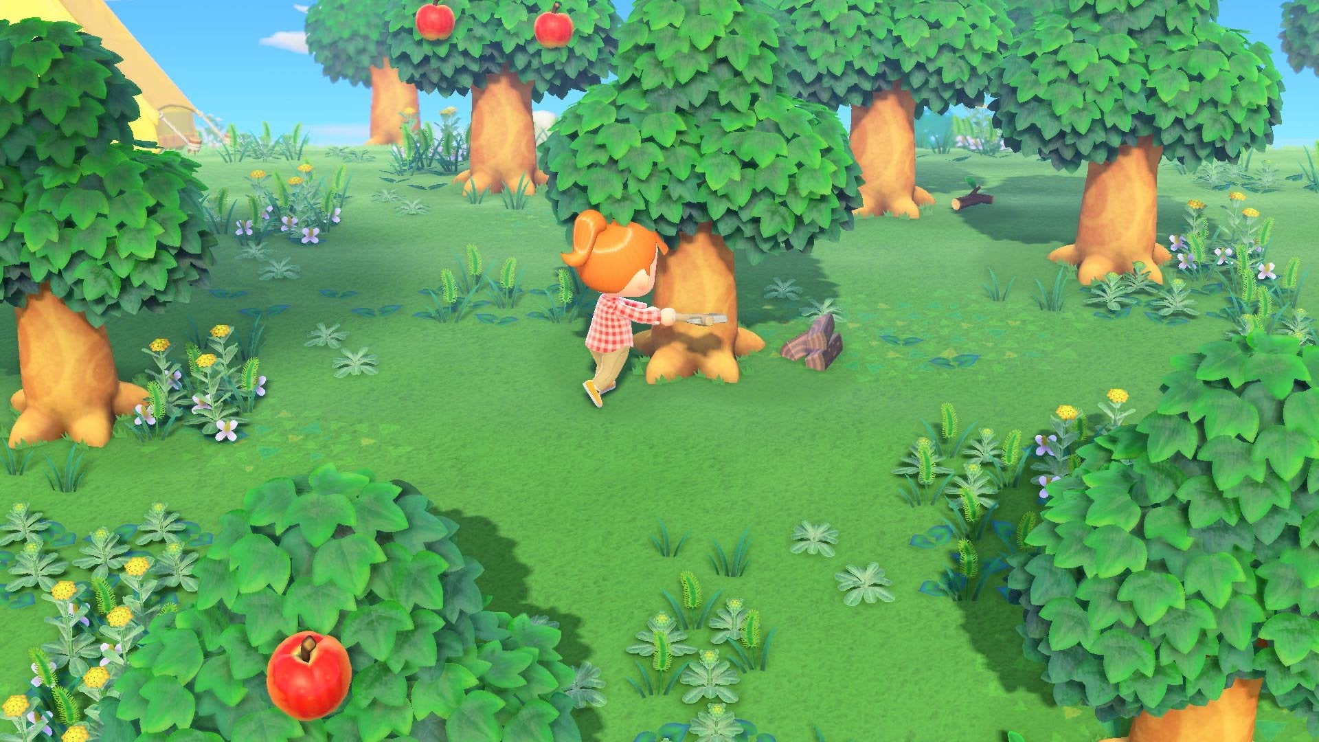 Animal Crossing : New Horizons - flash vidéo