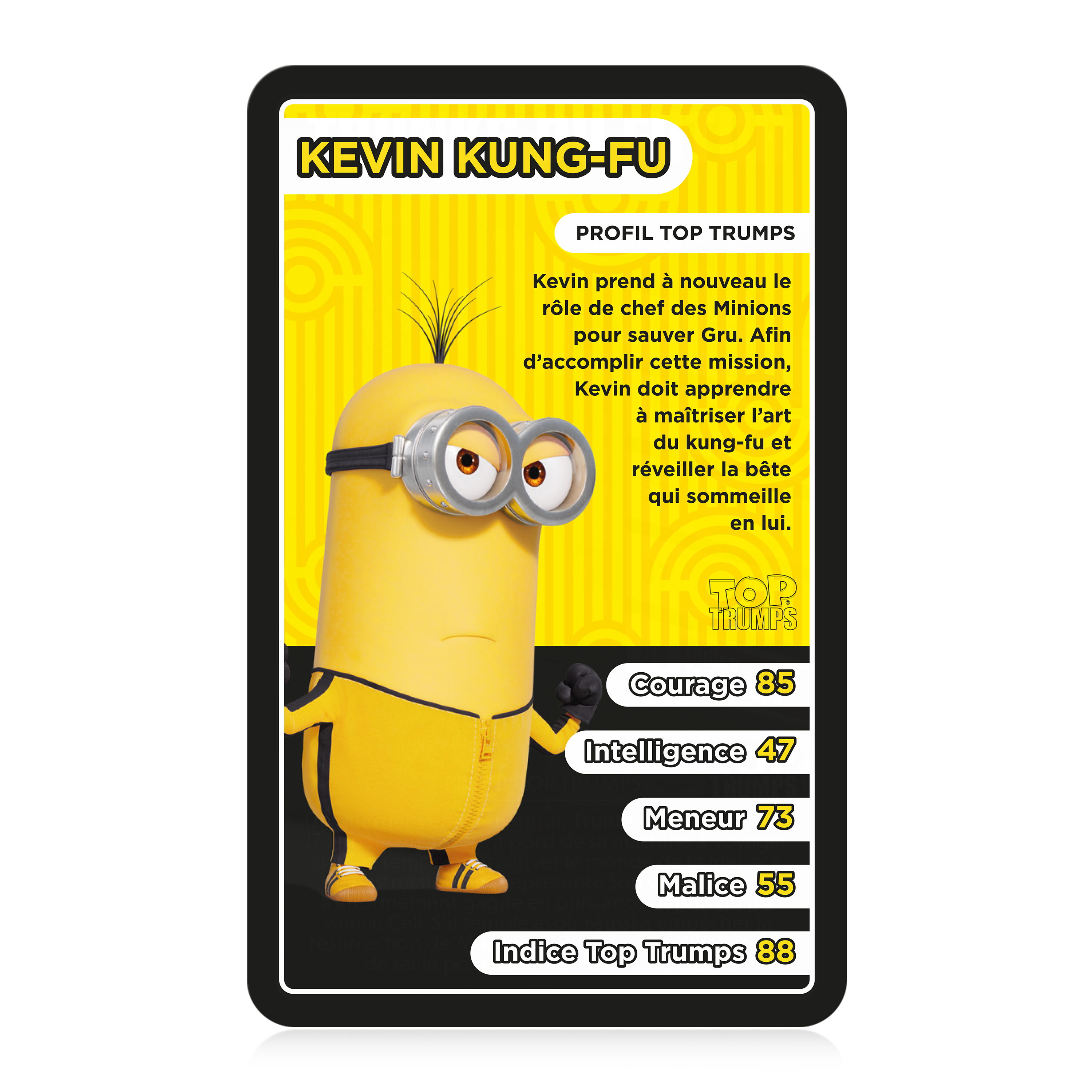 Top Trumps - Minions 2 - flash vidéo