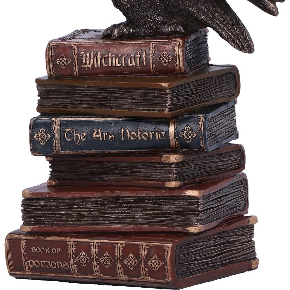 Figurine de collection hibou et livres de sortilèges 14cm - flash vidéo