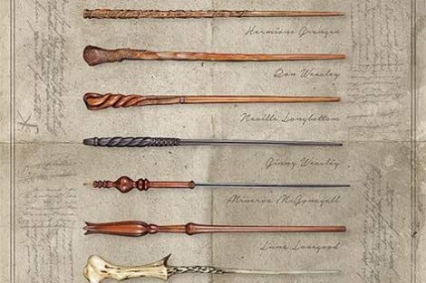 Harry Potter - La Baguette Choisi le Magicien - flash vidéo