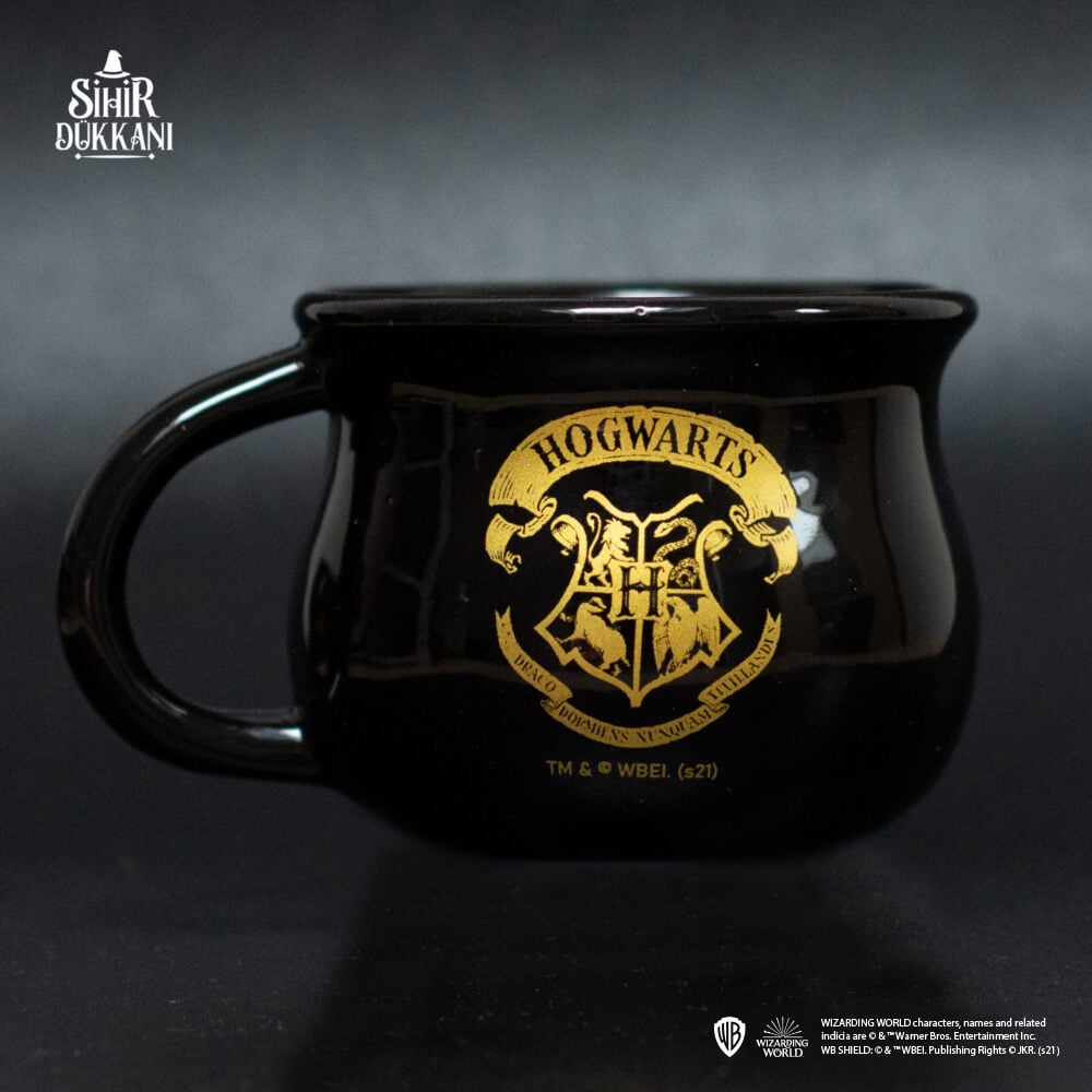 Wizarding World - Harry Potter - Mug Chaudron - Poudlard - flash vidéo