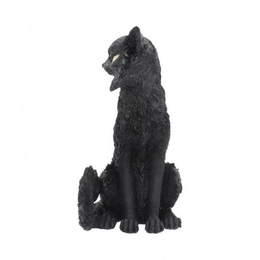 Salem Cat Figure 32.5cm - flash vidéo