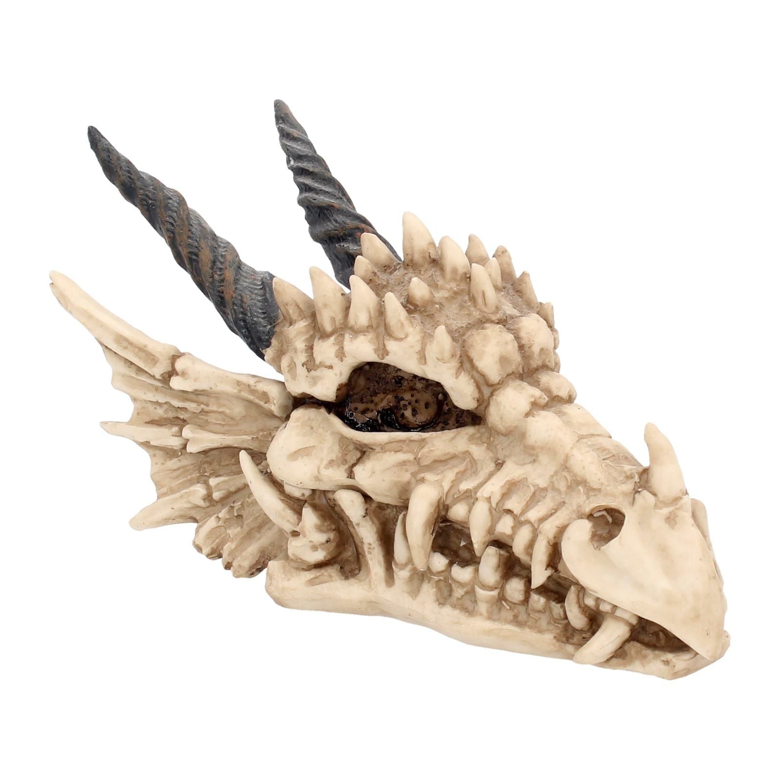 Dragon Skull Box 20cm - flash vidéo