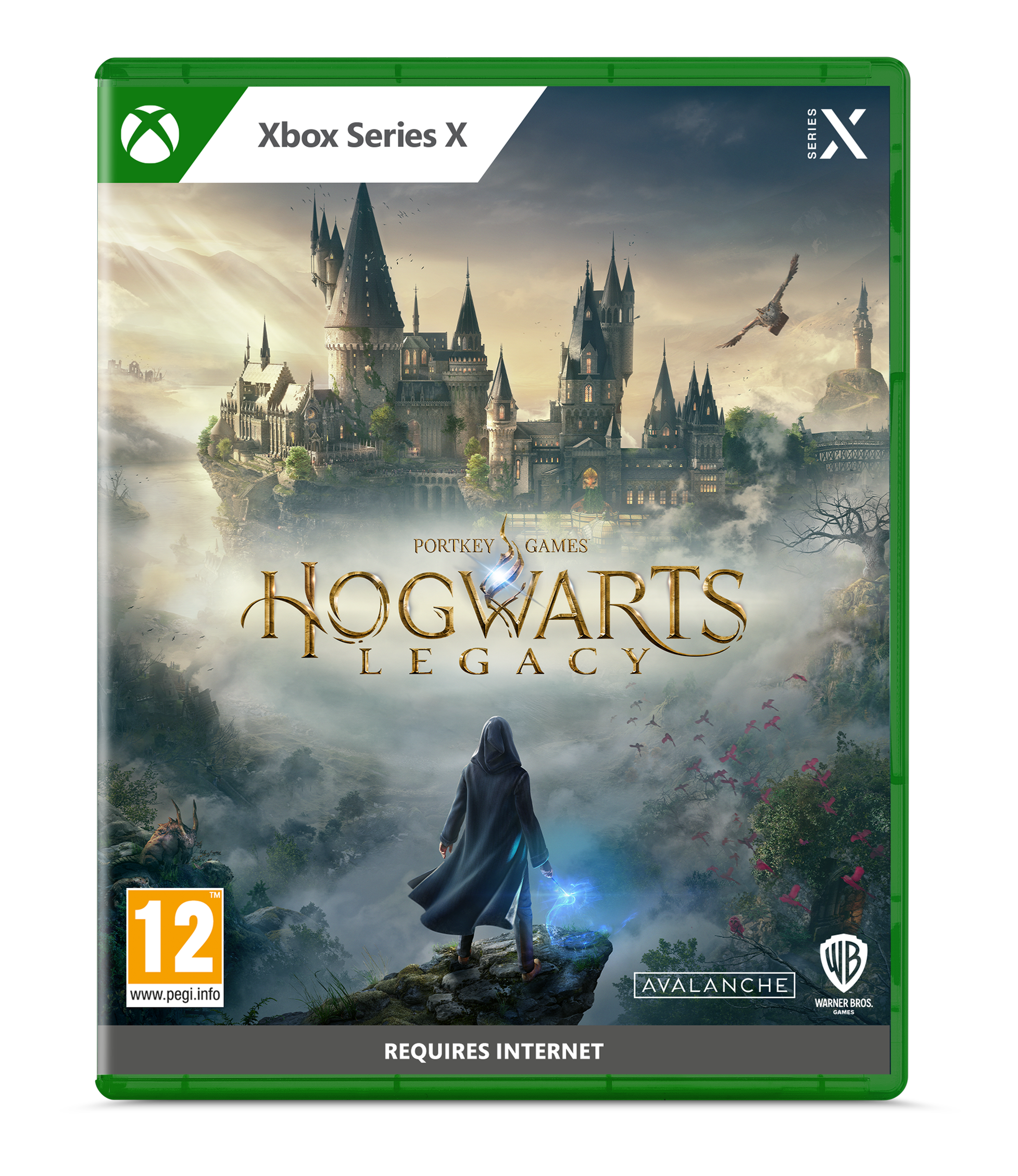 Hogwarts Legacy : L'Héritage de Poudlard - flash vidéo