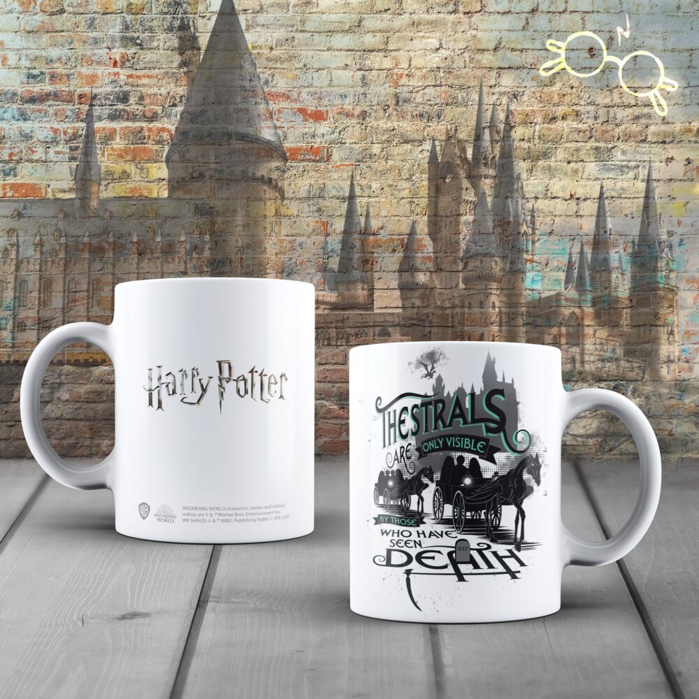 Wizarding World - Harry Potter - Mug - Sombral - flash vidéo