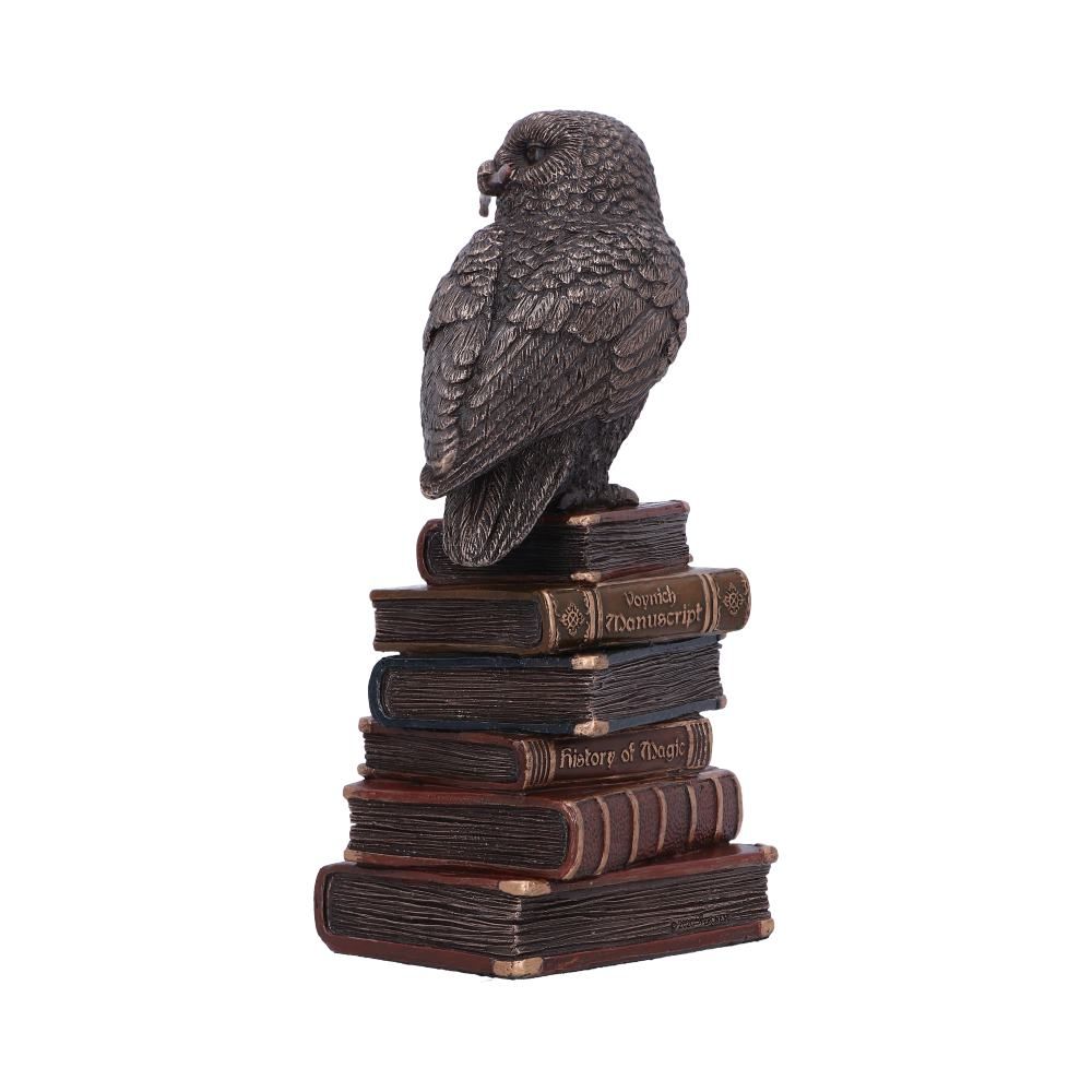 Figurine de collection hibou et livres de sortilèges 14cm - flash vidéo