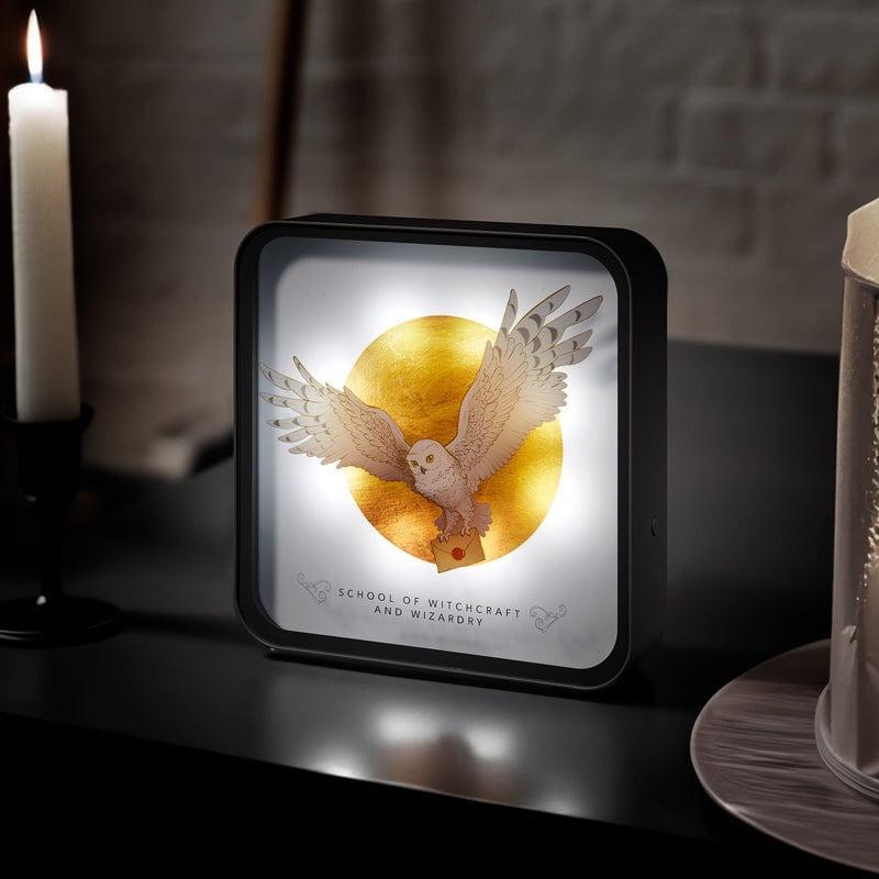 Harry Potter - Hedgwig avec Lettre - Lampe de bureau 3D - flash vidéo